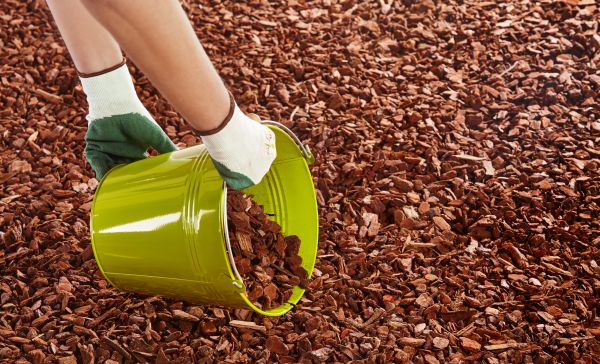 Wood Chip Landscaping in Valencia