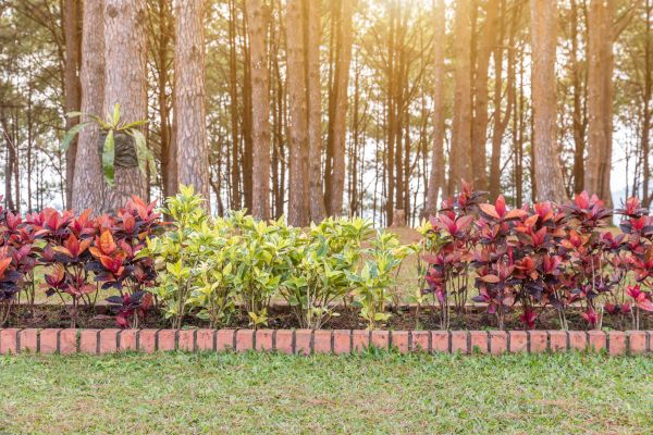 Small Garden Landscaping in Valencia