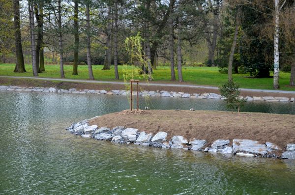 Pond Landscaping Service in Valencia