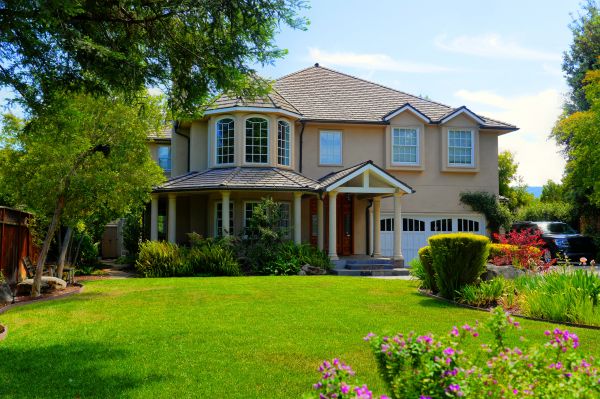 Large Yard Landscaping in Valencia