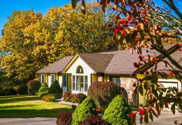 Ranch Landscaping in Valencia