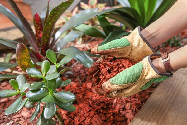 Cedar Mulch Installation in Valencia