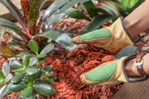 Residential Mulching in Valencia