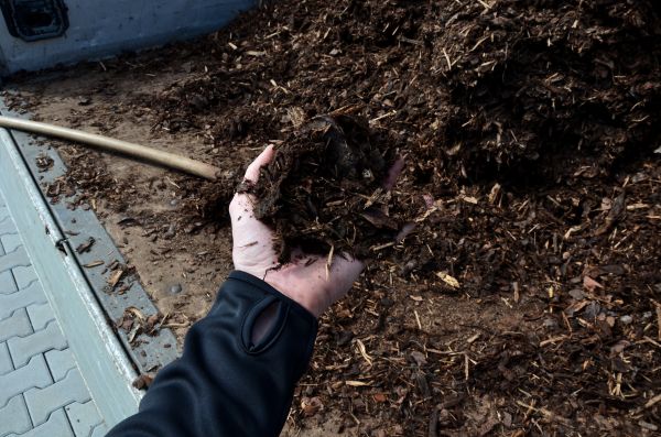 Condo Mulching in Valencia