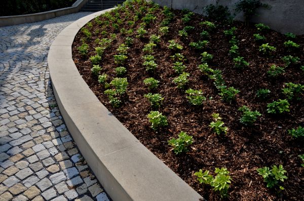Commercial Mulching in Valencia