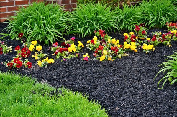 Apartment Mulching in Valencia