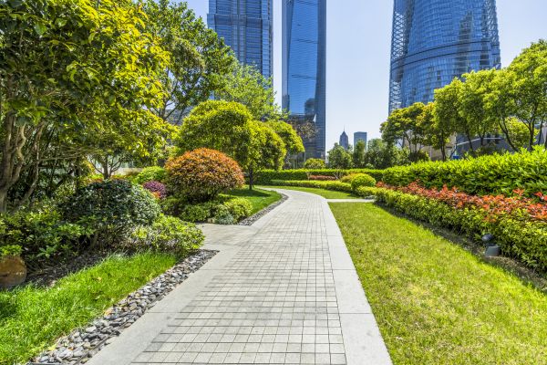 Commercial Landscaping in Valencia