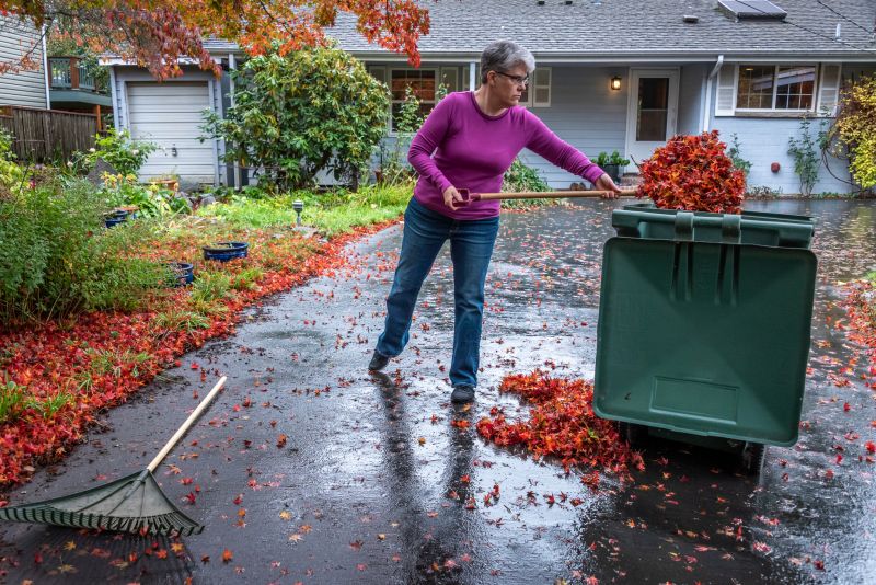 Preparing for Leaf Disposal